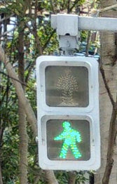 Pedestrian traffic lights